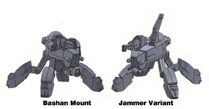 Bashan Variants