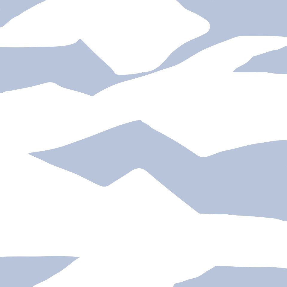 Polar 1